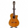 گیتار کلاسیک بارکلی Barclay BC 350 Classic Guitar - Image 7