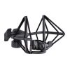 میکروفون اس ای الکترونیکز sE Electronics VR2 - Image 4
